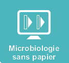 Microbiologie sans papier