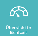 Ubersicht in Echtzeit